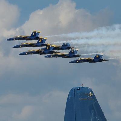 Profile Picture of Michael Clouse (@8gator8) on Twitter