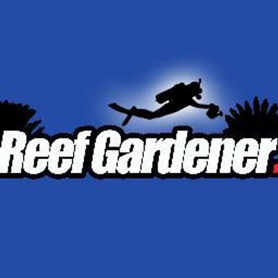 Profile Picture of Morgan Moore (@ReefGardener) on Twitter