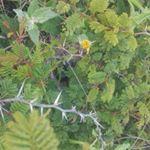 Profile Picture of José Zubieta Romero (@josezubietaromero) on Instagram