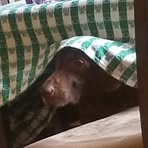 Profile Picture of Matthew McConnell (@Matthew-McConnell) on Facebook