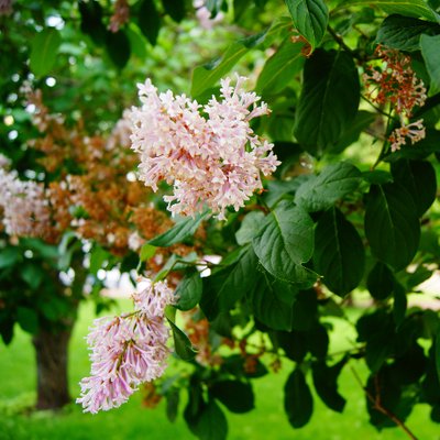 Profile Picture of Crystal Shin (@crystalshin07) on Twitter