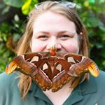 Profile Picture of Bugsologist | Lauren Davidson (@bugsologist) on Instagram