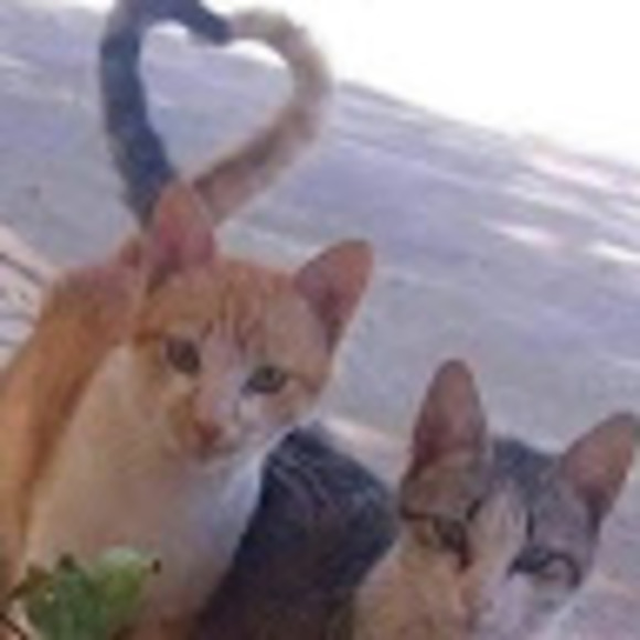 Profile Picture of Julia Gianini (@juliagianini17) on Poshmark