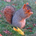 Profile Picture of Eric Dexter (@eric david dexter) on Flickr