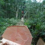 Profile Picture of Jake Avery (@jake.avery.fts) on Instagram