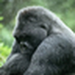 Profile Picture of Baz1963 (@baz1963) on Flickr