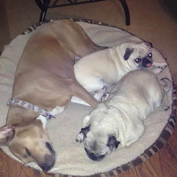 Profile Picture of Cari Baliles (@cmbaliles) on Poshmark