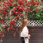 Profile Picture of 은혜️️ (@u_eunn_) on Instagram