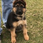 Profile Picture of Nancy Hutson (@hutson_nancy) on Instagram