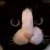 Profile Picture of Damian Chacon (@@damianx068) on Tiktok