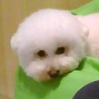 Profile Picture of Candy (@Candy_key03) on Twitter