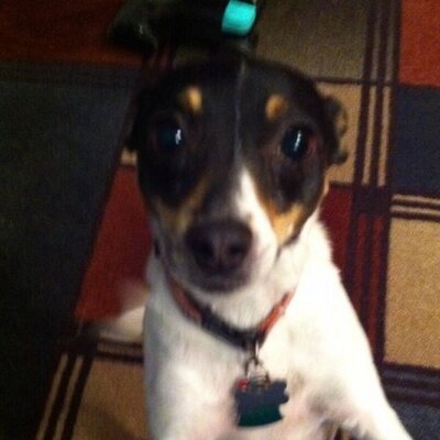 Profile Picture of Peter K Dugan (@mta237618) on Twitter