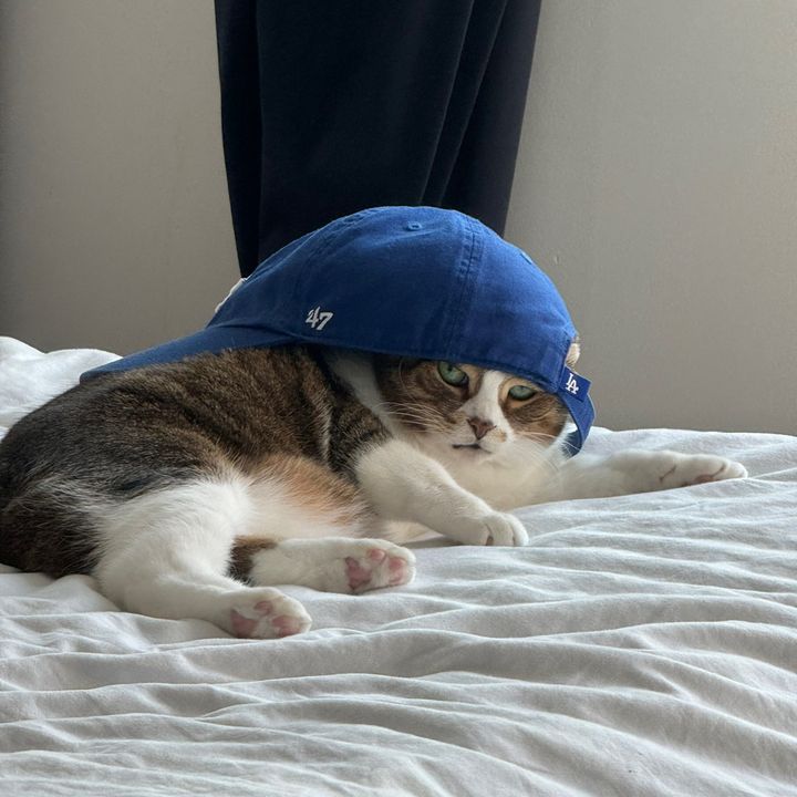 Profile Picture of April (@april_april) on Tiktok