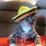 Profile Picture of fernando casares (@fer40012) on Instagram