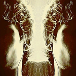 Profile Picture of Chayan Mazumder (@chayan mazumder) on Flickr
