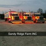 Profile Picture of Brent Seiler (@sandyridgefarm) on Instagram