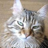 Jolene Armstrong - Facebook Profile Picture of Jolene Armstrong (@jolenea) on Facebook