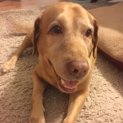 Profile Picture of Jesse Sutton (@jessethemind) on Twitter