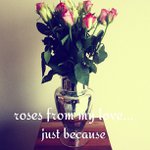 Profile Picture of Noel Brooks (@guylisterta) on Instagram