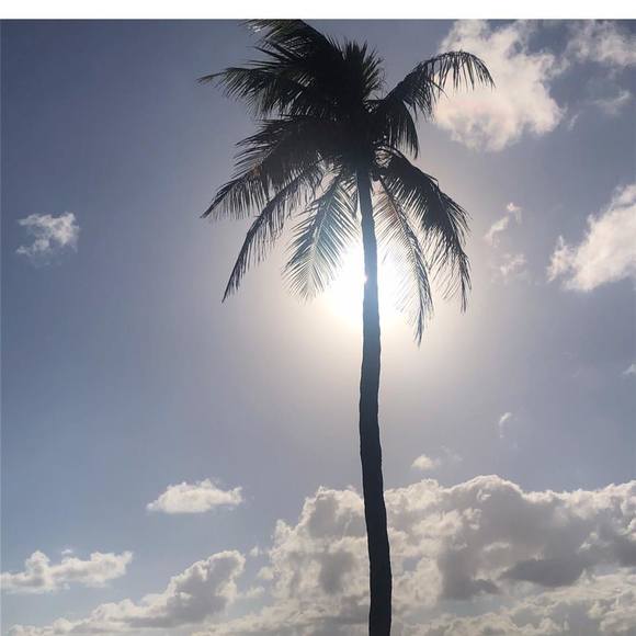 Lauren Rocklin - Poshmark Profile Picture of Lauren Rocklin (@rocklinl) on Poshmark