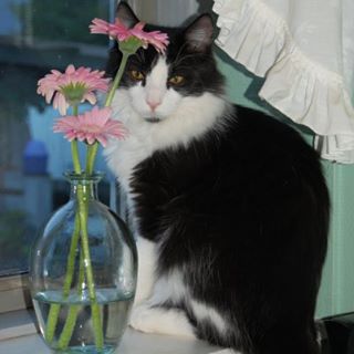 Profile Picture of Kris Moeller (@kris.moeller.9) on Facebook