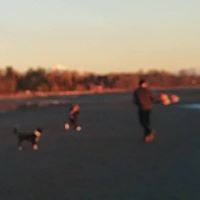 Profile Picture of Andres Irigoyen (@andres-irigoyen-1) on Quora