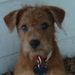 Profile Picture of Ruth McSween (@mcsween0002) on Pinterest