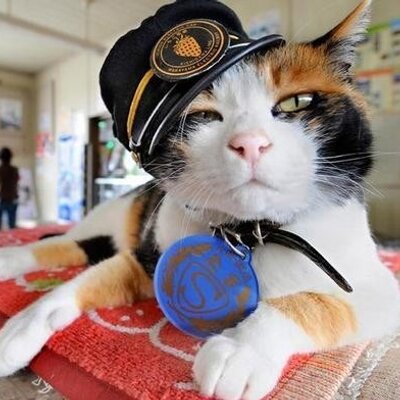 Profile Picture of Andrew Sletten (@KittyzInUniform) on Twitter