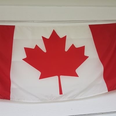 Profile Picture of Curtis Macdonald (@curtmaccie) on Twitter