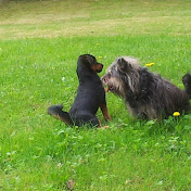 Profile Picture of Hartmut Mohr (@hartmutmohr) on Youtube