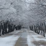 Profile Picture of Gary Jacobs (@gj.photography.18) on Instagram