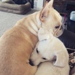 Profile Picture of Ernest James & Lola Lu (@erny_and_lola) on Instagram