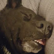 Profile Picture of Patrick Corbett (@PatrickCorbett) on Youtube