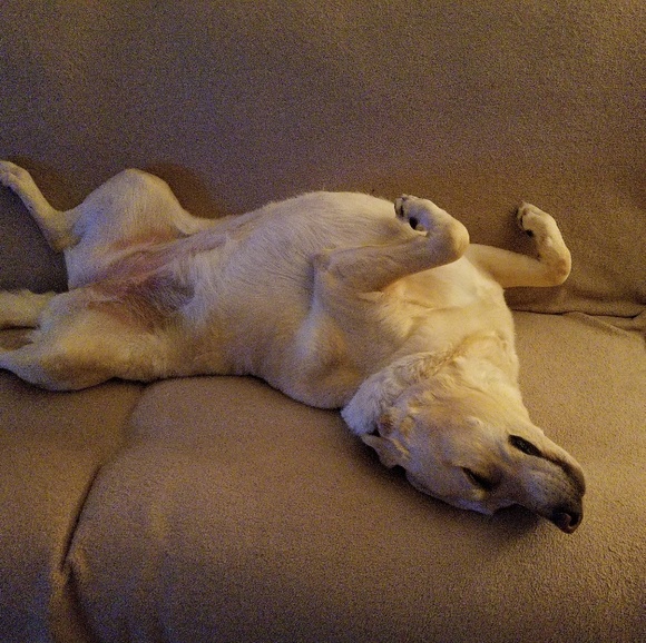 Profile Picture of Brian Duffy (@deduffster) on Poshmark