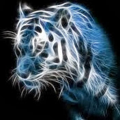 Profile Picture of Joey Hall (@joeyhall5118) on Youtube