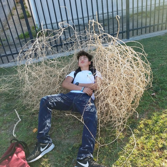 Profile Picture of Javert Tamayo (@javert) on Poshmark