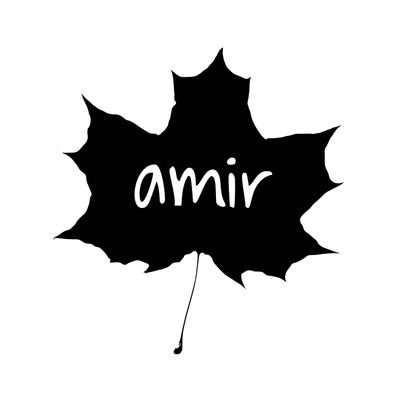 Profile Picture of Amir (@amirsadeghi81) on Twitter