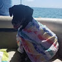 Profile Picture of Shawn Dickens (@shawn-dickens-9) on Quora