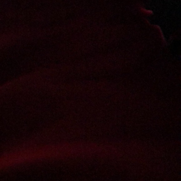 Profile Picture of Chase Reznicek (@chaseymoney) on Poshmark