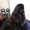 Profile Picture of Jérémy Batier (@@jérémybatier) on Tiktok