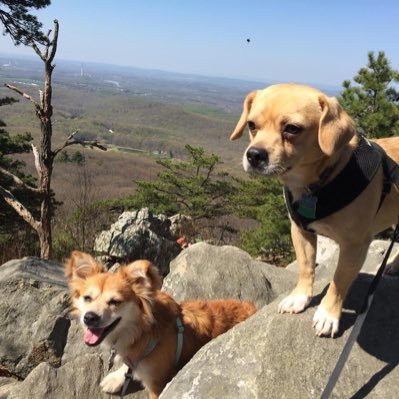 Profile Picture of Daniel Brody (@dsbrody5) on Twitter