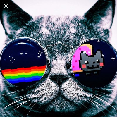 Profile Picture of Alvaro Valdivia :/ (@alvarov46568909) on Twitter