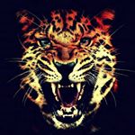 Profile Picture of Jacob dudash (@222_is_awesome) on Instagram