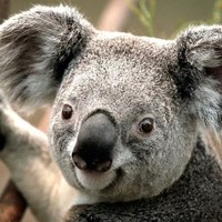 Profile Picture of Kevin Stegall (@kevin-stegall-3) on Quora