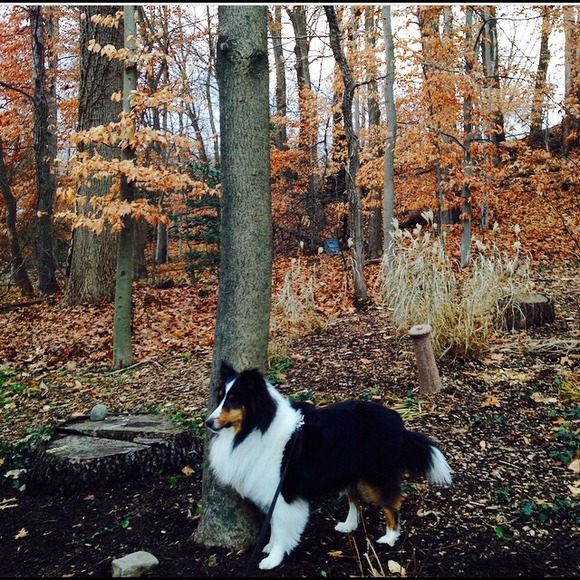 Sara Marchello - Poshmark Profile Picture of Sara Marchello (@hellosara93) on Poshmark