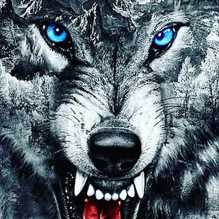 Profile Picture of Joshua Cornwell (@cornwelljoshua9) on Instagram