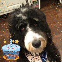 Profile Picture of Nancy Heinl (@nancy-heinl-2) on Quora