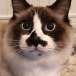 Profile Picture of Rudy Lyle Ashby (@rudylyleashby) on Instagram
