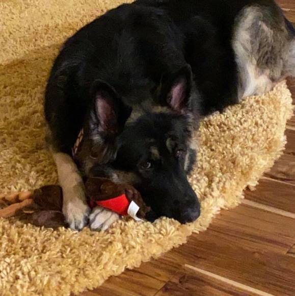 Profile Picture of Gina Cordiano capitano (@gcordian) on Poshmark