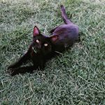 Profile Picture of Benjamin Zuñiga (@benjamin.zuniga.50364) on Instagram